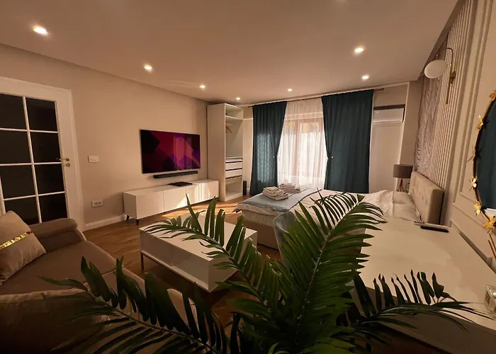 Apartment Lux 1 Timisoara